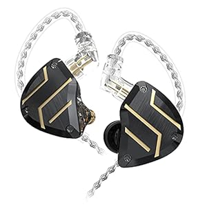 in-ear monitors Oordopjes, hoogwaardige harsholte Bedraad HiFi Stereo Ruisisolerend IEM bedrade oordopjes met afneembare…