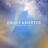 apertura centros comerciales hoy  Cielos Abiertos