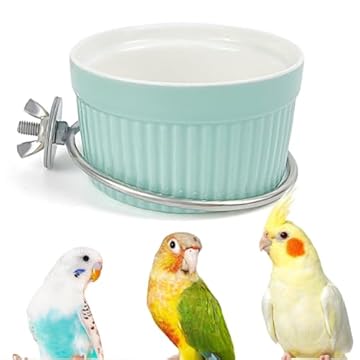 ceramic bird water dish for cage