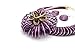 RUIYIMING Statement African Necklace For Women African Jewelry Costume Earring Sets Tribal Fashion Colorful Big Rhinestone Crystal Pendent Collar Choker Bold Chunky Bib Handmade (Flower Purple)