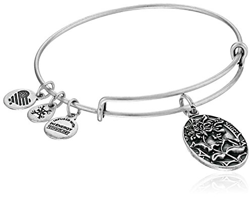 Alex and Ani Because I love you, Sister II Expandable Rafaelian Silver-Tone Bangle Bracelet