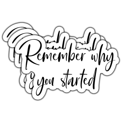 (3Pcs) Remember Why You Started Sticker Funny Sarcastic Positive Motivational