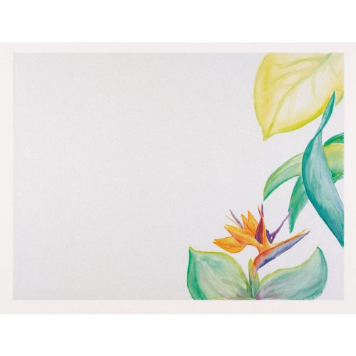 Nasco School Grades Watercolor Paper, 18" x 24", White, 140 lbs (Pack 100)