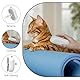 Katzenbürste mit Dampf, 4-In-1 Dampfbürste Katze, Steamer Brush Katze für Langhaar und Kurzhaar, Katzen Bürste mit Wasser Tank Sauberes Haustierhaar von der Bürste mit Einem Knopf (Weiß)