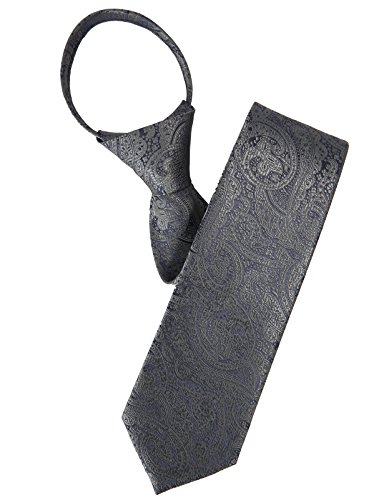 H2H Mens Comfortable Zipper Neck Tie Paisley Patterned Gray None (KMANT0118)