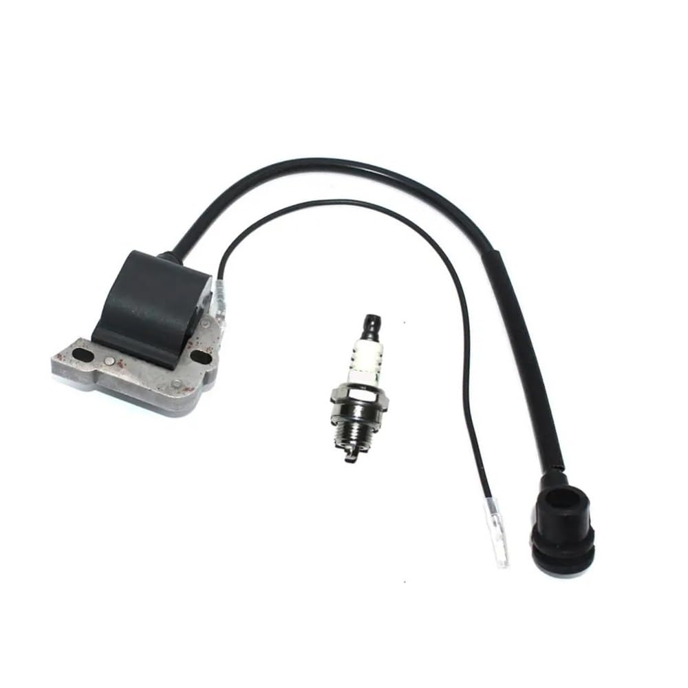 Bobine d'allumage pour 587329401 et 506027206, pièce thermique