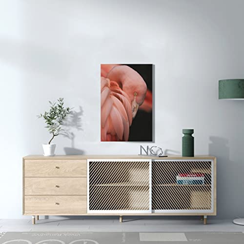 Portrait flamant rose impression haute définition 40x60 - 3