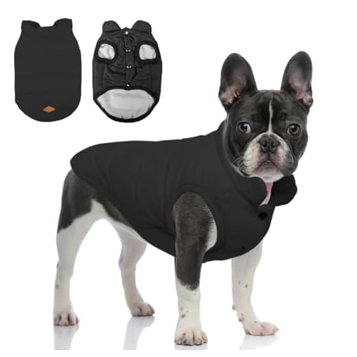 meioro Manteau d'hiver pour Chien Veste Chaude pour Chien, Vêtements pour Animaux par Temps Froid, Manteau Coupe-Vent pour Chiot pour Les Petits Chiens de Taille Moyenne et Les Chats (Noir,M)