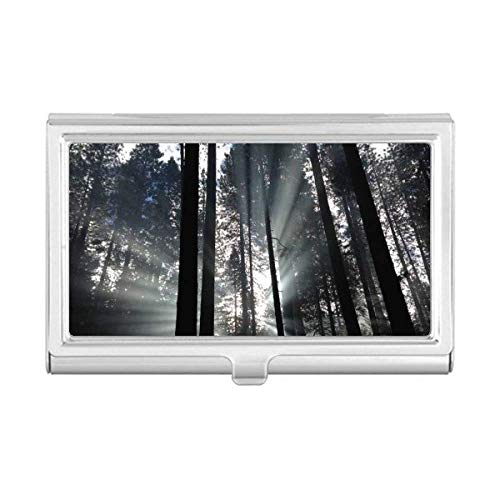 Estojo para cartão de visita com vista da natureza da floresta, Sunshine Science