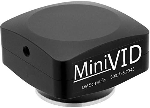 https://m.media-amazon.com/images/I/41i-a7Aw8wL._AC_.jpg?7DLYrtO1lsRmiTAd5