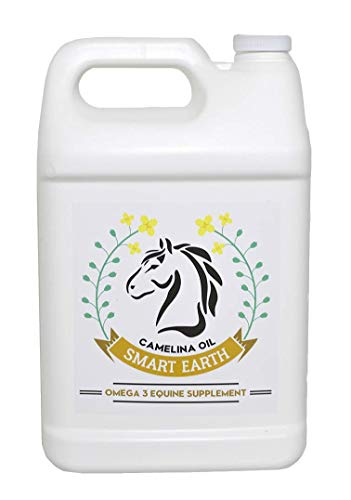 Smart Earth Camelina Horse Oil Supplement for Equine Care & Feed | Essential