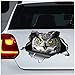 WYZDGTD Hibou à Cornes Autocollant de Voiture Hibou à Cornes Aimant Hibou à Cornes Autocollant Hibou Autocollant décoration de Voiture 2 pièces côté Le Plus Long 21 cm