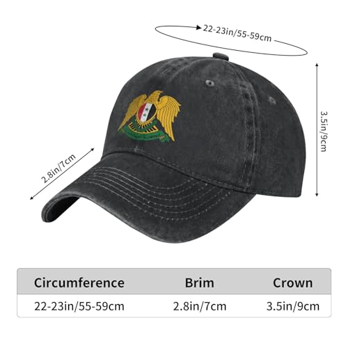 Casquette de baseball Syrie effet lavé vintage brodée style rétro