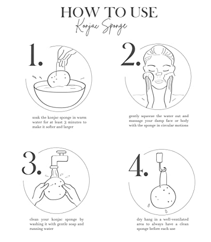 The Beauty Shelf Konjac Sponge (3 Pack) Activated Bamboo Charcoal. Facial Cleansing & Exfoliating Beauty Sponges - Image 7