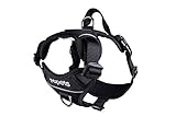 RC Pet Products