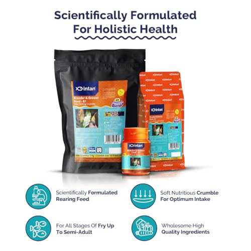 Image of Intan Breeder & Grower Food - B1 (<0.18mm Slow Sinking Crumble) | 1Kg - Highly Nutritious Ornamental Fish Food for A Range of Feed from Fry to Grow Out Stage for Viviparous & Oviparous Fish