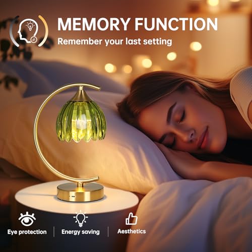 Image of Shenmoyl Tulip Table Lamp, 5200mAh Cordless Touch Control Table Lamp with 3 Color Temps & Stepless Dimming, Rechargeable Battery Table Lamp for Living Room, Bedroom, Office, Shelf (Green Tulip)