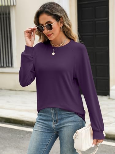 Syellowafter Womens Long Sleeve Shirts Crewneck Fall Tops Casual Loose Fit Basic Pullover Top4