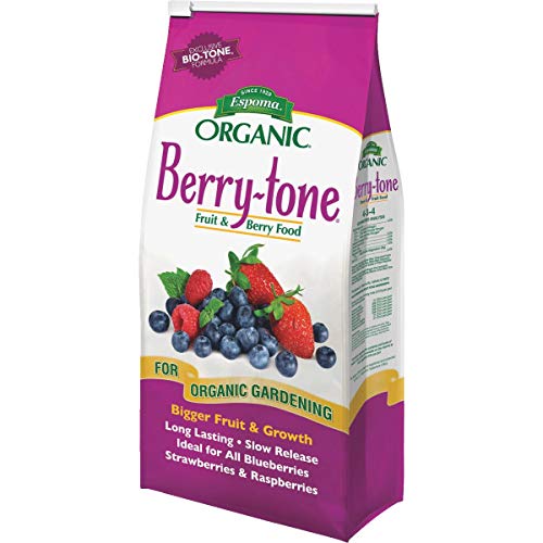 Best Fertilizer For Strawberries