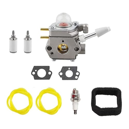 Carburateur RY08554 résout les pannes de démarrage du moteur RY09907 avec la pièce 308054114