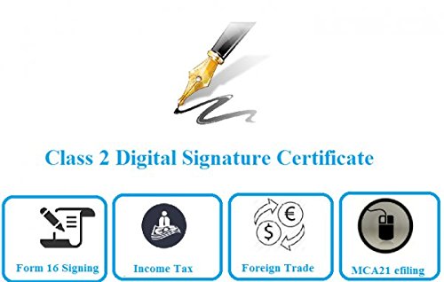 CITI CLASS 2 DIGITAL SIGNATURE FOR GST NO TOKEN AND SUPPORT