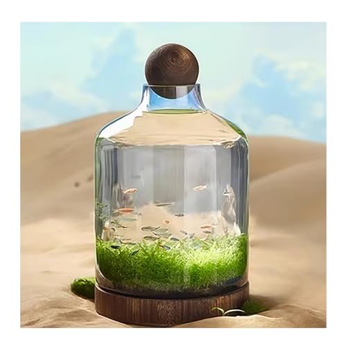 Quxxuol  eE ^ KX Zbg KX Ԏ   ؐgCt k͔| iϋ㝌p ƒp (48*27cm)