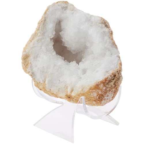Plymor Clear Acrylic Fossil, Mineral or Crystal Display Holder Stand, 1.75\" H x 2.875\" W x 2.375\" D - Thumbnail 2