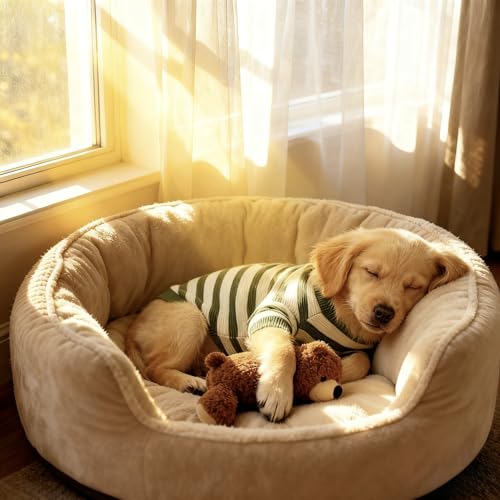 Image of Small Dog Sweater, Knitted Striped Pullover Dog Clothes, Indoor Cozy Stretchy Pajamas for Chihuahua, Bulldog, Dachshund, Pug(Green&White Strip, XXL)