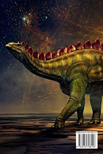 Astronomy Stuff Notebook: Test Prep For Kids - Universe & Star Diary Note Book For Astrophysic Students - Paperback 6" x 9" Inches College Ruled Pages - Image 2