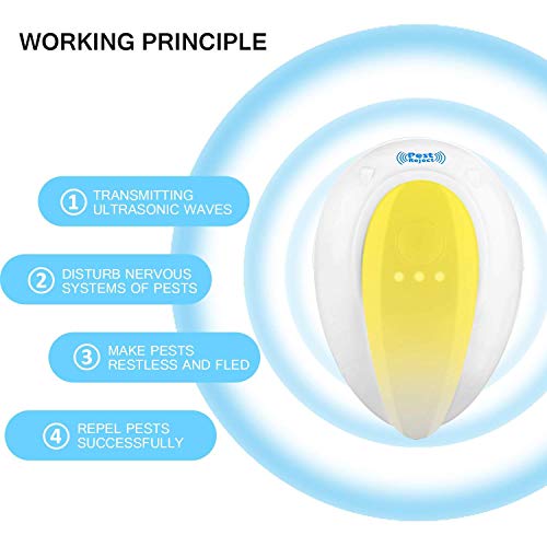 HOVNEE coperta da picnic, campeggio impermeabile