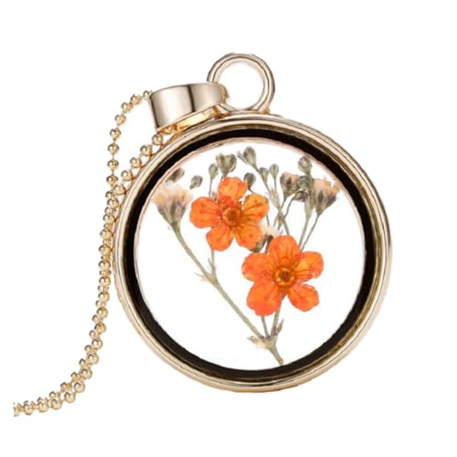 [CTIRCHIU] KXhCt[lbNX IWԓی^tHgt[ `F[ pNGCeBuWG[ r[`p[e