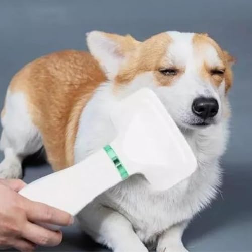 Escova Secadora Elétrica 2 em 1 para Pets e Animais de Estimação –110V