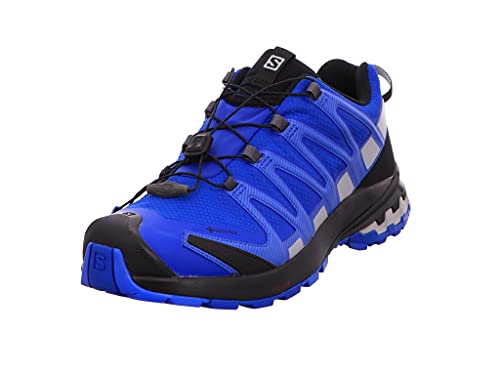 Image of Salomon Men's XA Pro 3D V8 GORE-TEX Trail Running Shoes