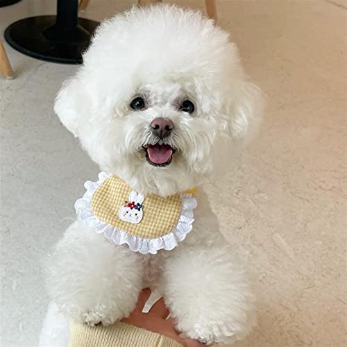 Colliers dog mignon JINGYAN accessoires pour petits chiens et chat