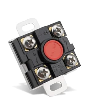 tankless hot water heater thermostat