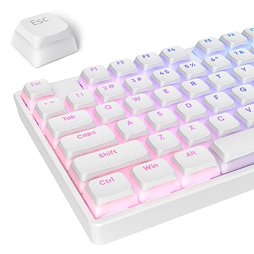 PBT Pudding Keycaps Set 117 Keys, Double Shot Translucent XDA Profile for ISO & ANSI Layout 61/68/84/87/104 Keys Mechanical Keyboard