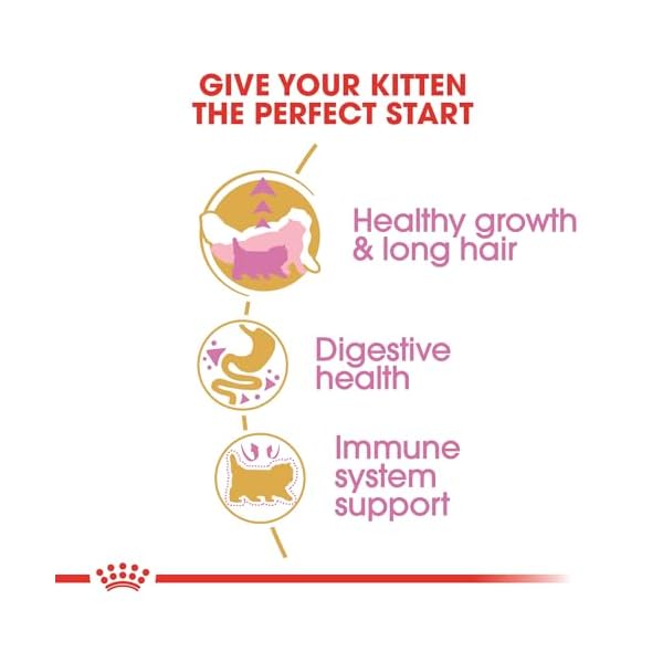ROYAL CANIN Breed Health Nutrition Persian Kitten Dry cat Food, 3-Pound by Royal Canin – Bild 6