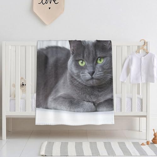 uPbg ѕzL L DF Ԃ y g _炩G Q 􂦂 G| v[g