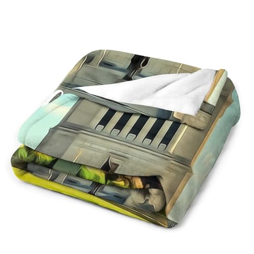 Couverture de lit Indianapolis en peluche skyline 101x127 cm