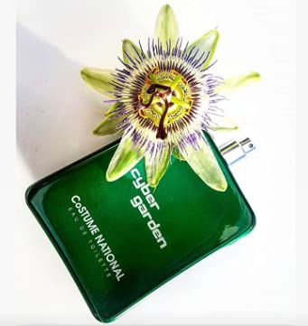 Costume Nationalcyber Garden Eau De Toilette Spray 100 Ml