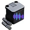 Karaokemachine met 2 microfoons, Draagbare luidspreker voor karaokesysteem, Zingend artefact voor familiefeest, leuke stemveranderende functie, 2 draadloze microfoons B/a