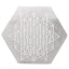 Star Flower of Life