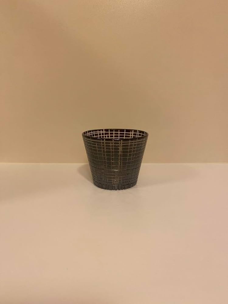 辻和美さん めんちょこ小 Amazon.co.jp: 辻和美 めんちょこ 小 センセン factory zoomer