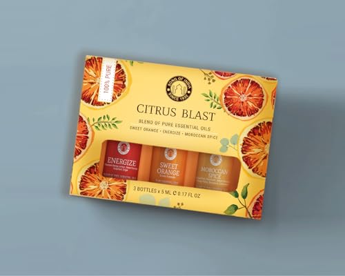 Essential Oil Blends Citrus Blast Set/3 (Orange)
