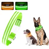 LED Dog Collar, Light Up Dog Collar, Lighted Dog Collars Adjustable for Night Walking, Glow in The Dark Dog Collars Light with USB Rechargeable Color Changing Waterproof for Dogs (Green, Medium)