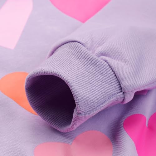 Image of Little Girls Outfits 2 Piece Toddler Long Sleeve Sweatshirt Leggings Pants Fall Winter Clothing Set 2-10 Years