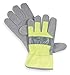 Leather Gloves, Cowhide, High Visibility Lime, M, PR