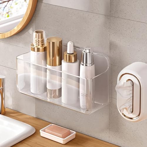 Diesisa Acrylic Wall Mount Organizer - 5.1" D x 10.9" W x 6" H, L...
