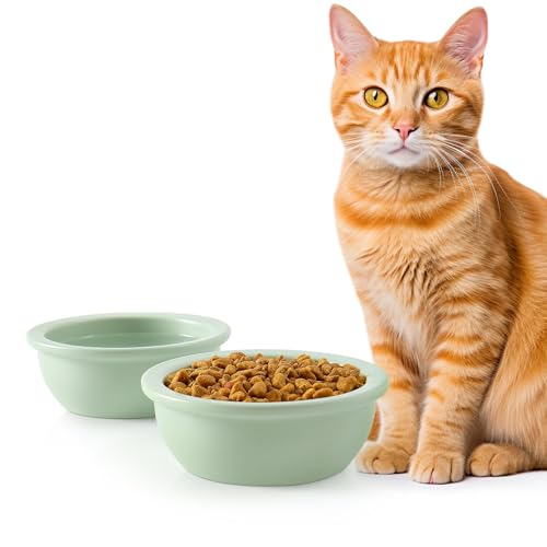GUUSII HOME 2 Pezzi Ciotole Per Gatti Ciotola Gatto Ceramica Ciotole di Ricambio Per Cibo e Acqua Per Cuccioli 360 ml Lavabili in Lavastoviglie e Adatte al Microonde Facili da Pulire(Verde)