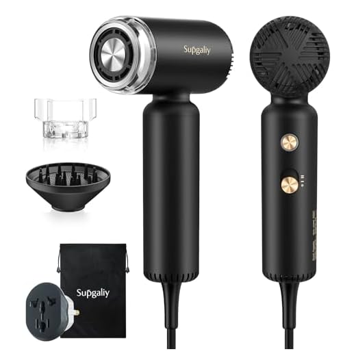 Compact Dual Voltage Ionic Hair Dryer